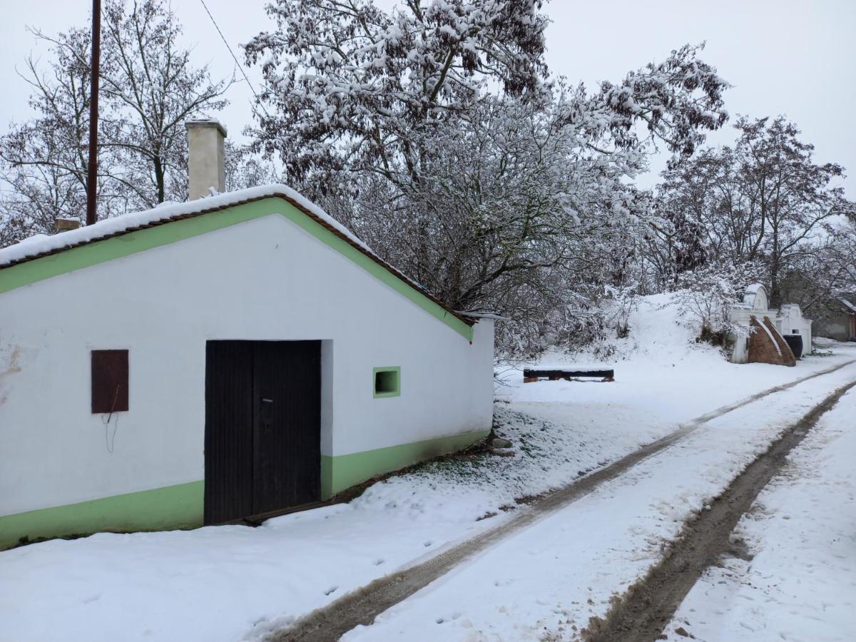 Alegria Natur Apartments Mikulov Dış mekan fotoğraf